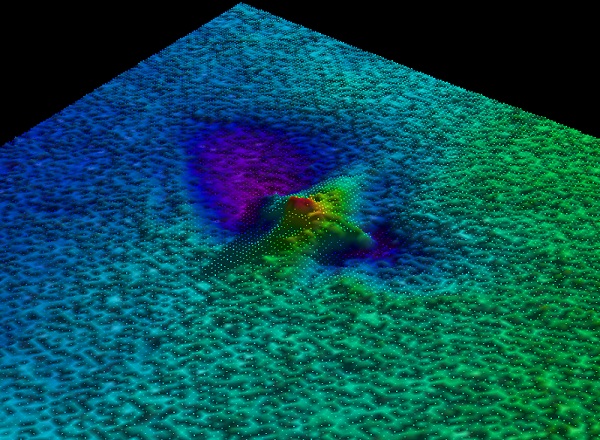 Flying Dart — INFOMAR sonar-derived seabed survey image (not an underwater photograph).