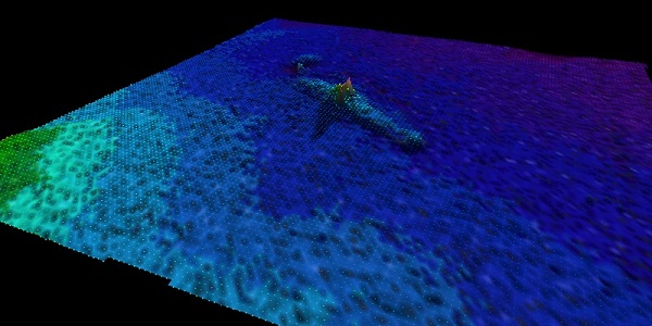 Myrtle Branch — INFOMAR sonar-derived seabed survey image (not an underwater photograph).